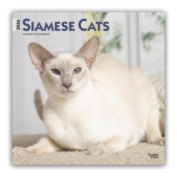Browntrout Verlags GmbH Siamese Cats - Siamesische Katzen - Siamkatzen 2026 - 16-Monatskalender