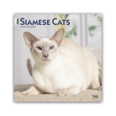 Browntrout Verlags GmbH Siamese Cats - Siamesische Katzen - Siamkatzen 2026 - 16-Monatskalender | BrownTrout Publishers Inc