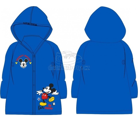 Eexee Mickey Mouse