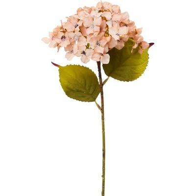 KS HYDRANGEA BL.ORANŽOVÁ, ZELEŇ 33CM