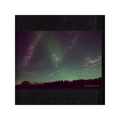NORGREN DANIEL: SKOGENS FRUKTER LP