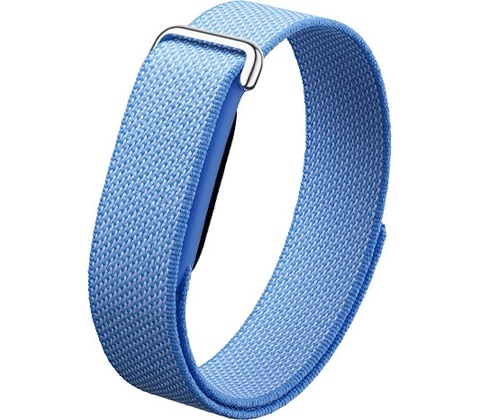 Google Fitbit Air