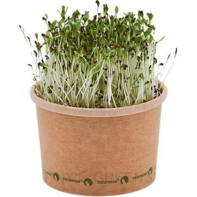 Tiny Greens Vojtěška Alfalfa - BIO semínka na klíčení a microgreens Velikost balení: 50 g
