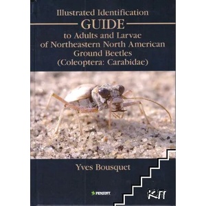 Illustrated Identification Guide to Adults and Larvae of Northeastern North American Ground Beetles (ISBN: 9789546425225)