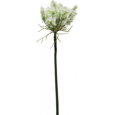Jiřinka - Dahlia krémová V71 cm