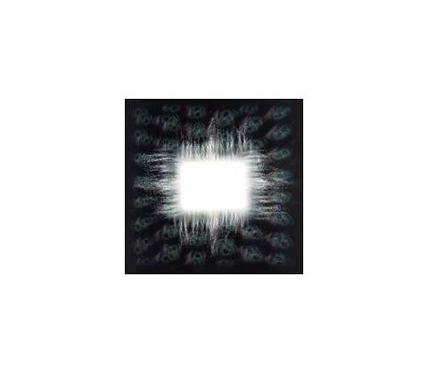Tool - Aenima CD