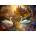 Enjoy - Puzzle Swan Song - 1 000 piese