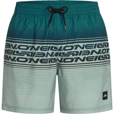 O'Neill Мъжки бански слипове O'Neill Logo Stripe 16'' Swimshorts Swim brief - Green Heritage Stripe - размер XL (050-2413-0315)