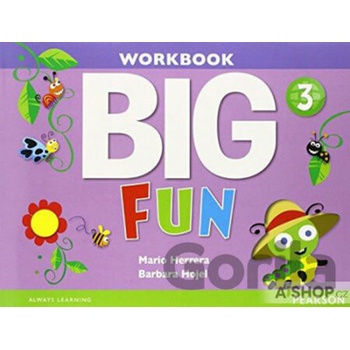 Big Fun 3 Workbook with AudioCD