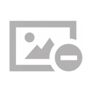 Yazyk i stil' v pojezii F. Glinki, V. Raevskogo i D. Denisova