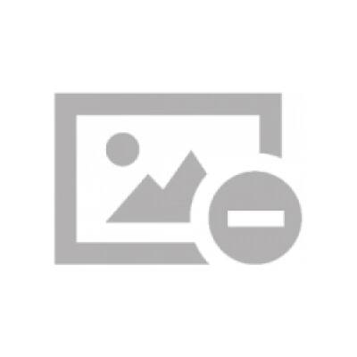 Yazyk i stil' v pojezii F. Glinki, V. Raevskogo i D. Denisova