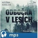 Odbočka v lesích