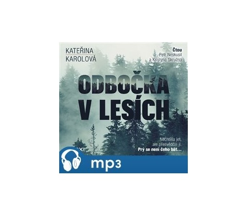 Odbočka v lesích