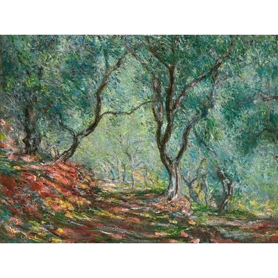 Plagát, Obraz - Olive Trees in the Moreno Garden (1884), Claude Monet, 40 × 30 cm