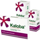 Volně prodejné léky KALOBA 20 MG/7,5 ML SIRUP POR SIR 100ML