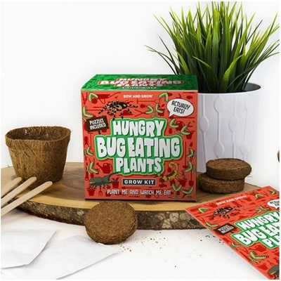 GiftRepublic Grow KIT Masožravka Hungry bug eating plants