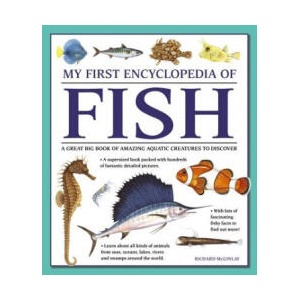 My First Encyclopedia of Fish (giant Size) | Richard McGinlay (ISBN: 9781861478245)