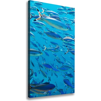 Vertikálny foto obraz canvas Koralové ryby 50x100 cm