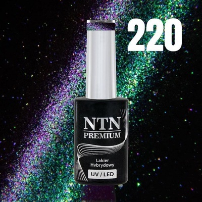 NTN Gél lak premium Magnetic Cat Eye 6D 220 5 g