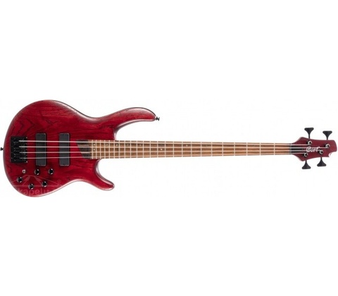 Cort B4 Element OPBR