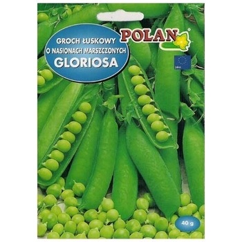 Hrach a bôb, semená 40 g