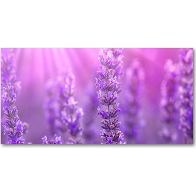 Foto obraz fotografie na skle levanduľa 100x50 cm