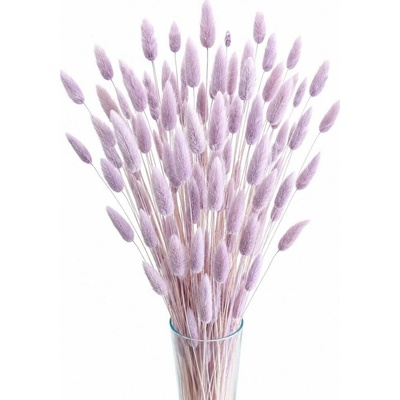 Sušený lagurus (králičí ocásek) lila 45g