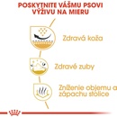 Granule pre psov Royal Canin Shih Tzu 7,5 kg