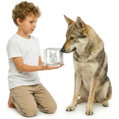 3D fotka do skla - KRYCHLE tři rozměry