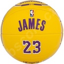 Spalding NBA player ball Lebron James