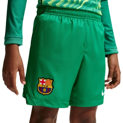 Nike Dri-FIT FC Barcelona Stadium Goalkeeper 2026/27 zelená