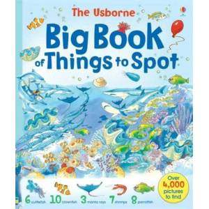 Big Book of Things to Spot | Ruth Brocklehurst (ISBN: 9780746053010)