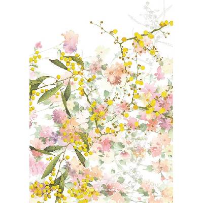 Garnier Thiebaut MIMOSAS FLORAISON potisk 50 x 70 cm