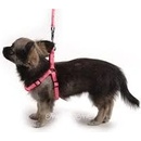 CAMON Postroj s vodítkom puppy