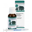 RodiCare Immun 15 ml