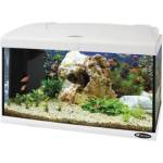 Ferplast Аквариум 60л бял capri 60 white aquarium (65016111)