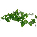 Lucky Reptile Jungle Vine Philo Vine ca. 200 cm