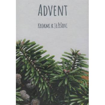 Advent – Krokmi k Ježišovi - Anna Berthotyová