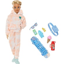 Barbie Dream Besties Ken a doplnky