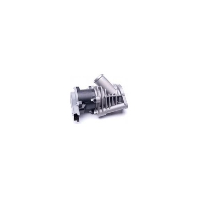SKV EGR Ventil Citroen C5 Peugeot 406 2.0 16V HPi 103kW