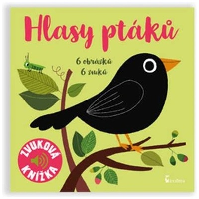Hlasy ptáků