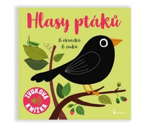 Hlasy ptáků