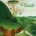 Fruit Bats - LANDFILL LP
