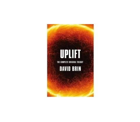 Uplift Brin David