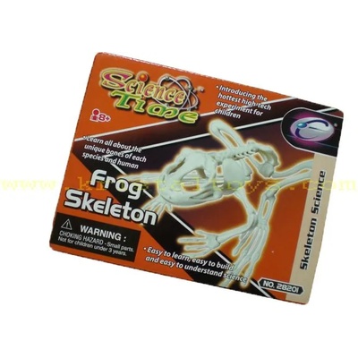 Игра Скелет на Жаба