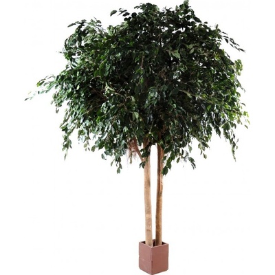 Luxusní umělý strom Ficus Exotica Giant, 480cm