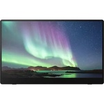 Ricoh Portable Monitor 150BW 514910 Монитори