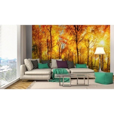 DIMEX ART Флизелинов фототапет слънчева гора 375 x 250 см