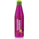 Salerm Straightening šampon 250 ml