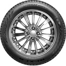 Nexen Winguard Snow'G WH2 195/50 R15 82H